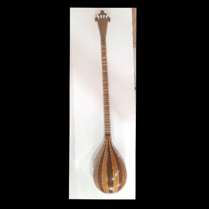 سه تار پنجه طاووسی ویژه