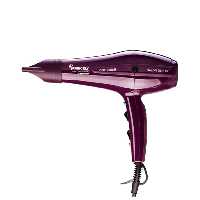 سشوار پرنسلی حرفه ای مدل PR250AT