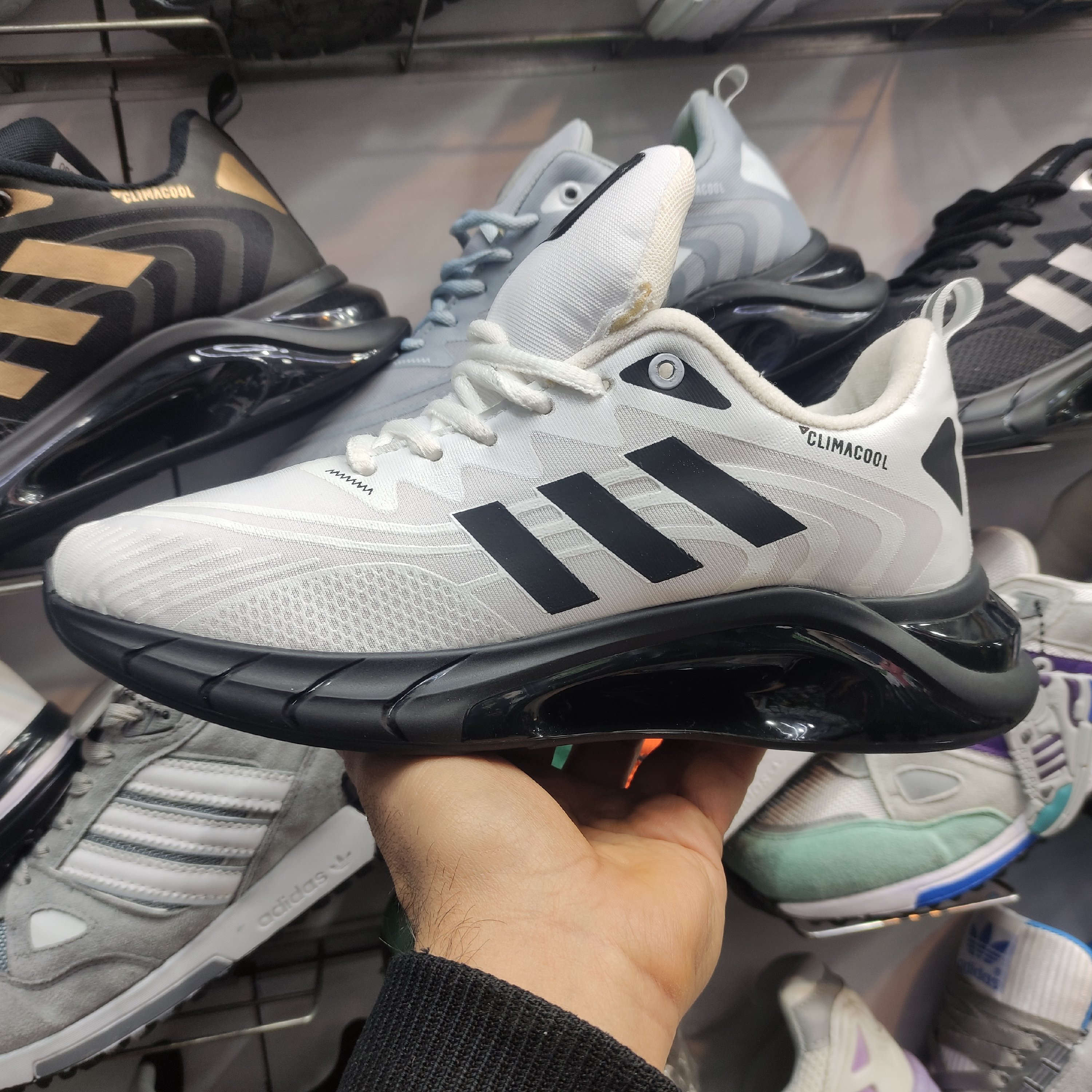 کفش اسپرت ورزشی مردانه وپسرانه زنانه 