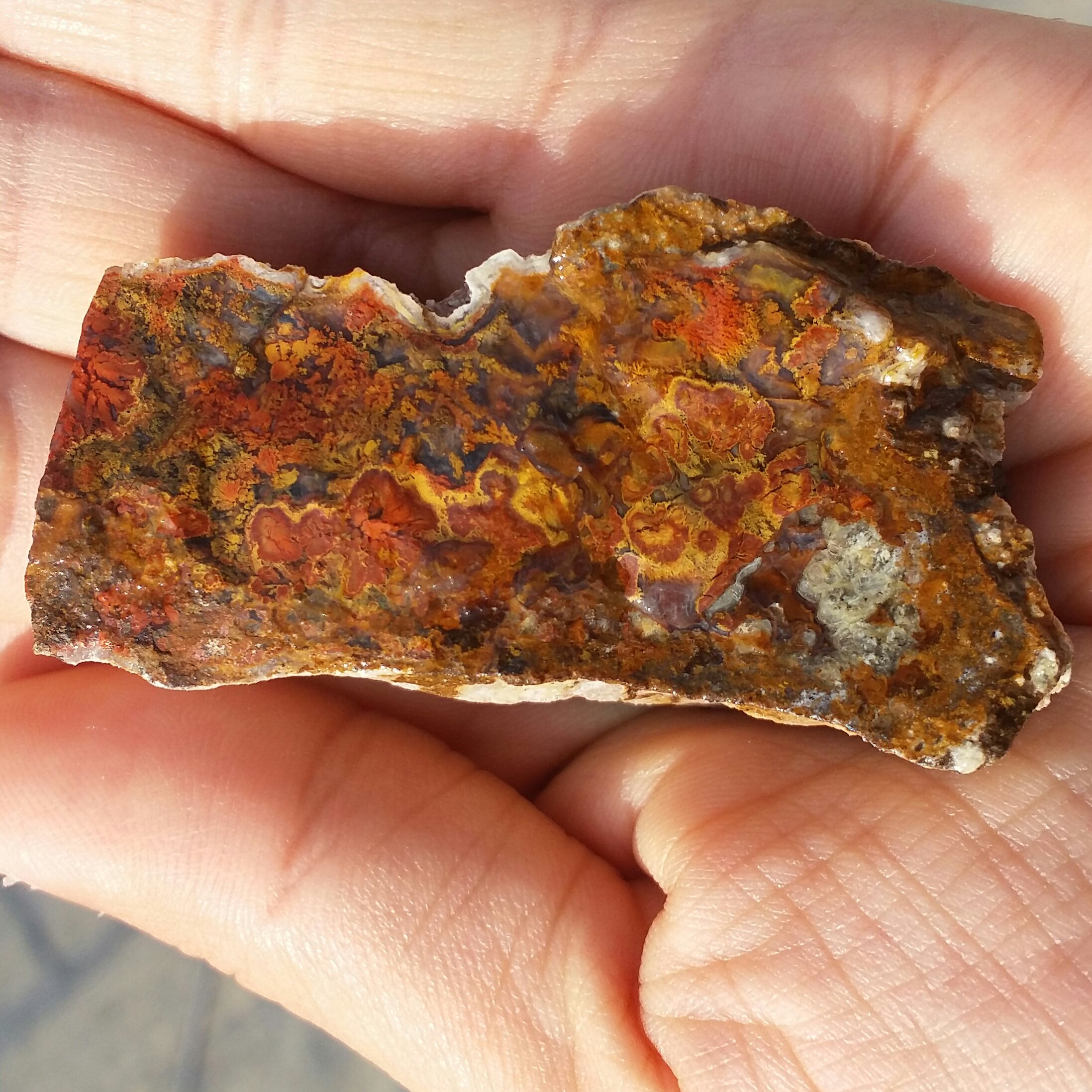 سنگ راف عقیق شجر منظره 7رنگ  شاهکار خلقت زیبااا  100 در 100 طبیعی
تابلو نقاشی طبیعی
محشرر