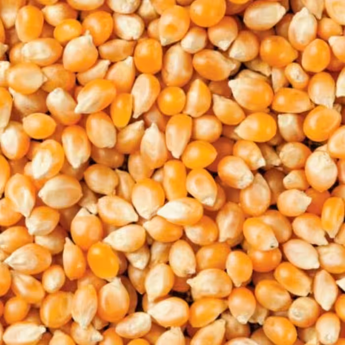 ذرت پفیلا ،ارسال رایگان سه خرید یک محصول هدیه