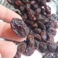 مویز گوشتی درشت آفتابی دیمی1000گرمی (مستقیم از باغدار)