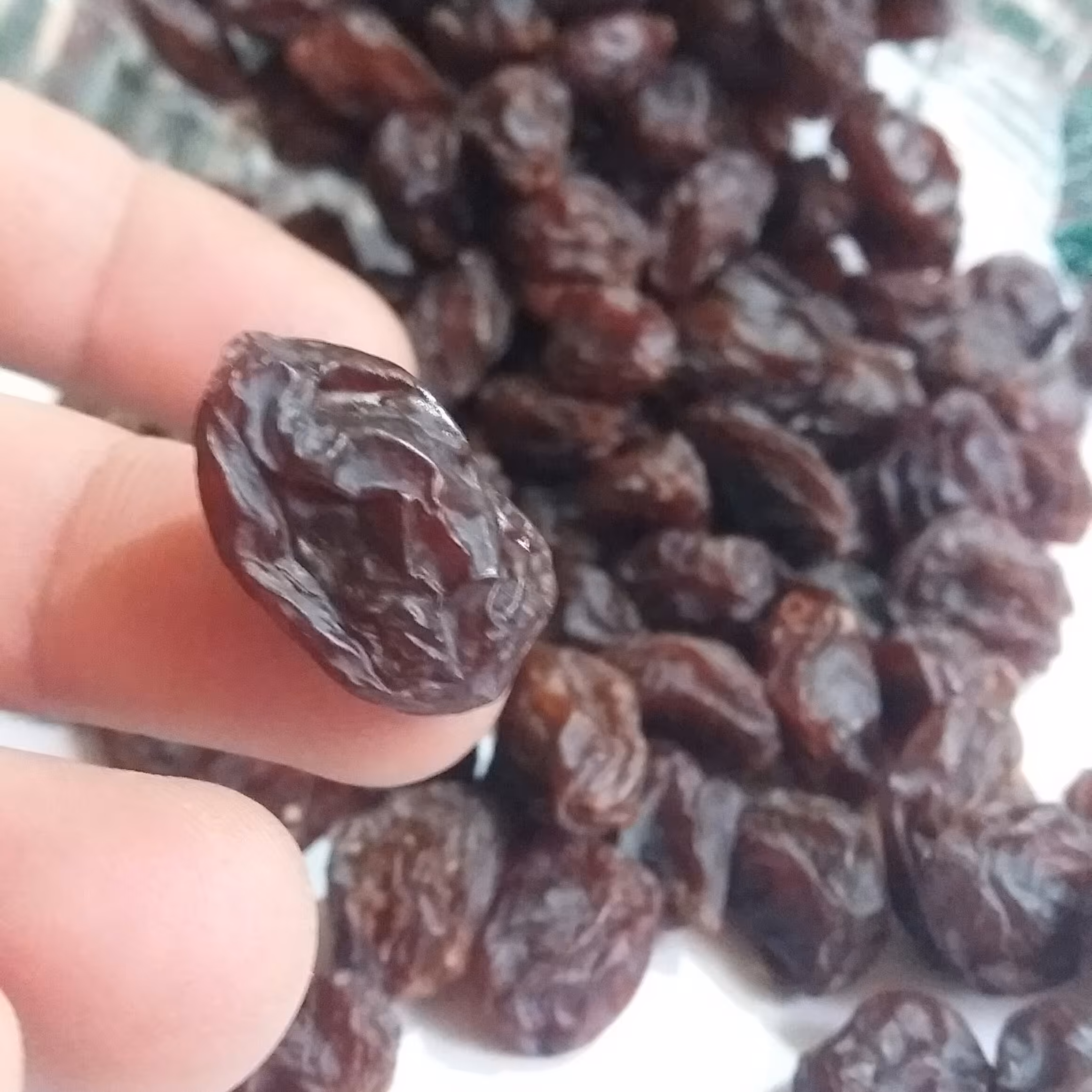 مویز گوشتی درشت آفتابی دیمی1000گرمی (مستقیم از باغدار)