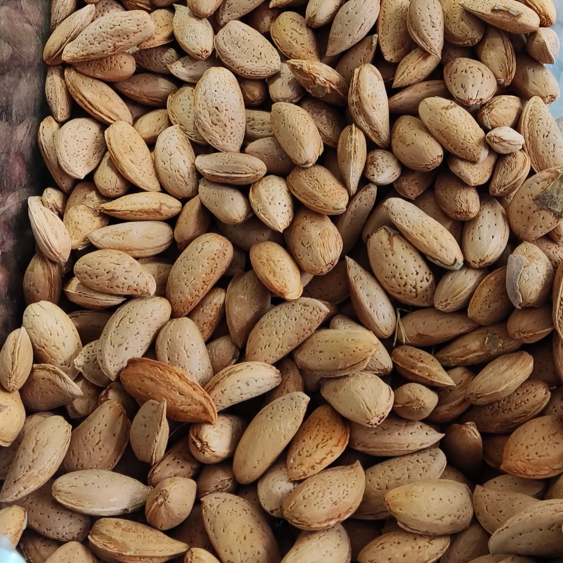 بادام درختی تازه