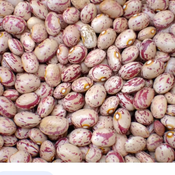 لوبیاچیتی2کیلوگرمی خوشپخت