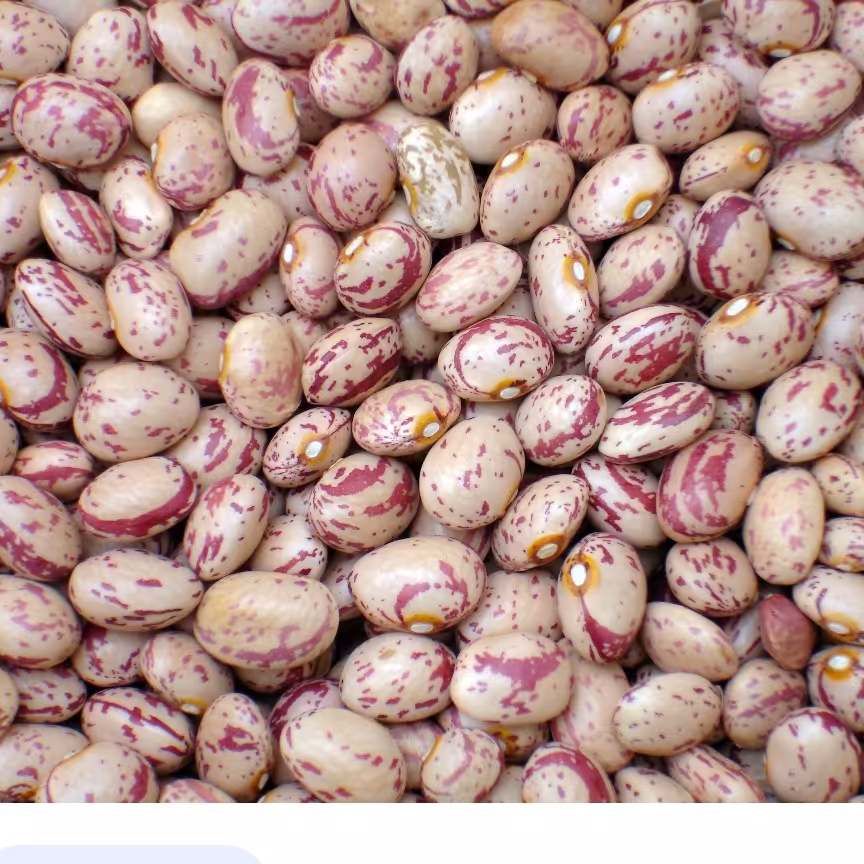 لوبیاچیتی2کیلوگرمی خوشپخت