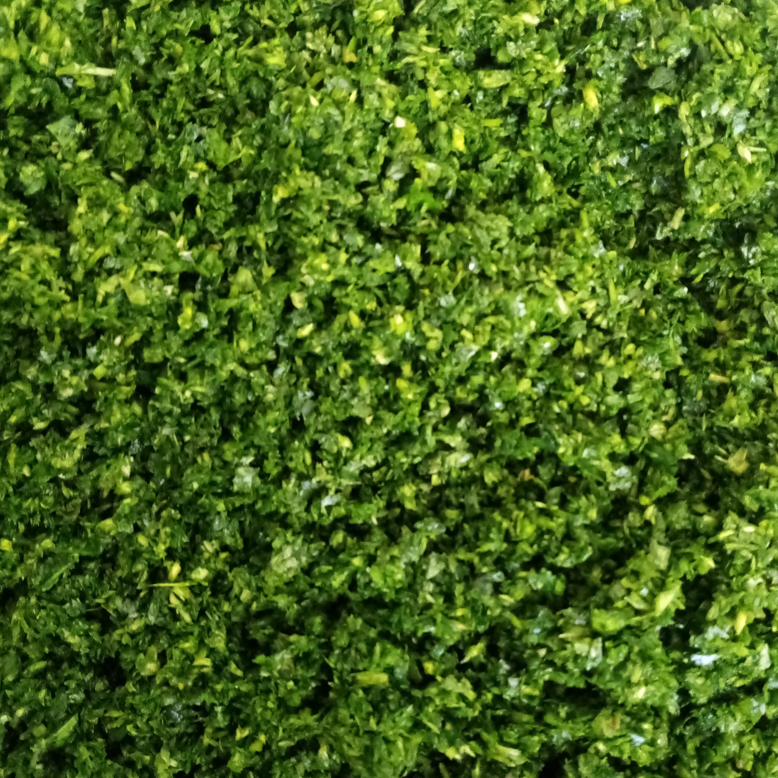 سبزی قورمه، سبزی کوکویی، سبزی آشی، سبزی شولی، شسته شده خردشده آماده طبخ