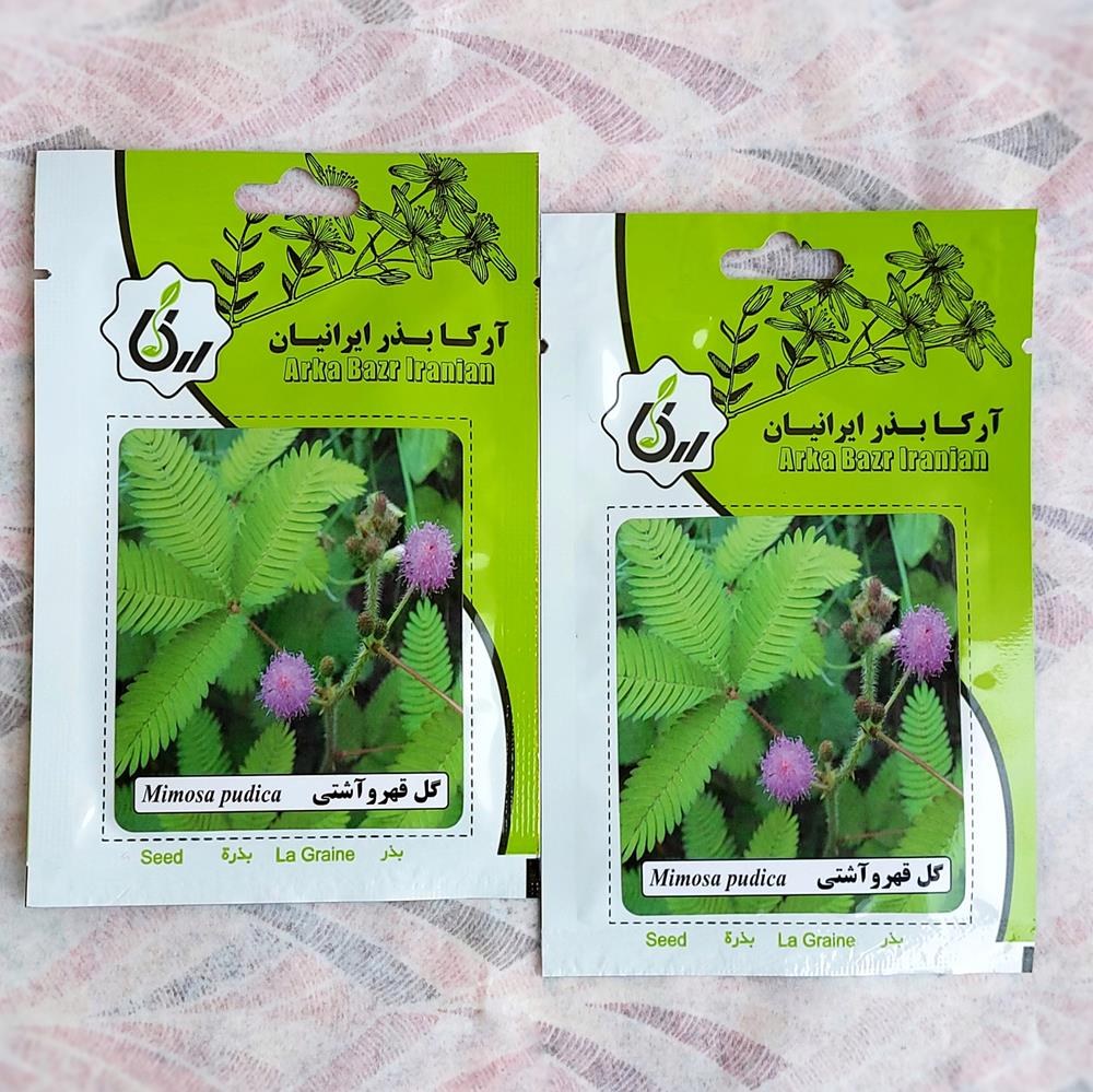 بذر گل قهر و آشتی پک 2 عددی