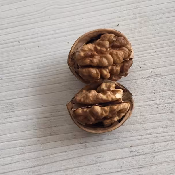 گردو خارجی عالی پوست کاغذی مغز 62درصد (مستقیم از عمده فروش )فقط فروش 200کیلو به بالا داریم.هزینه ارسال بعهده خریدارمحترم