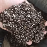 خاک استریل بنفشه افریقایی