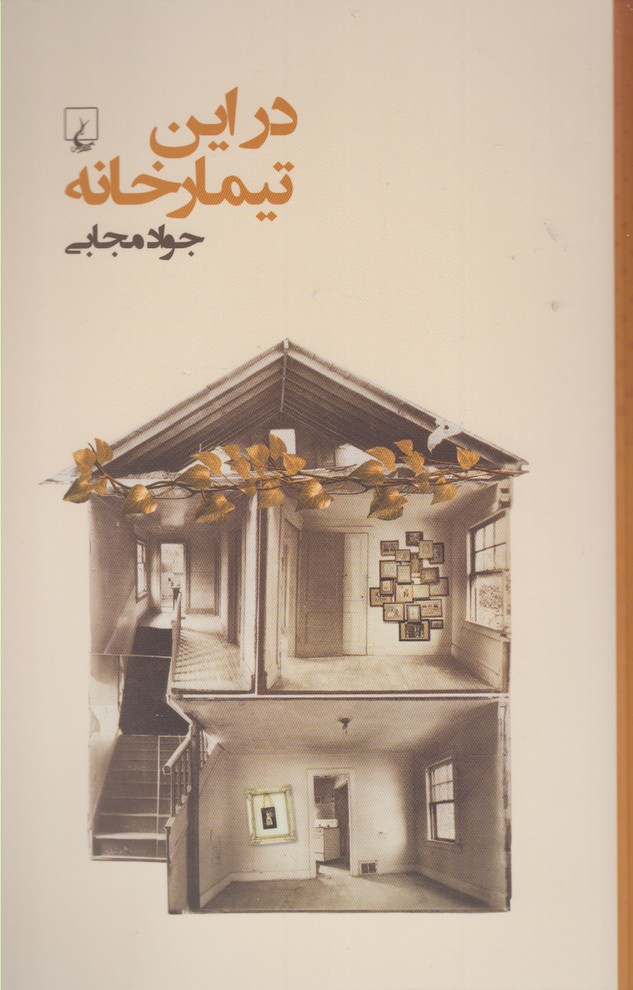 کتاب در این تیمار خانه