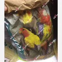  هفت تخم طوطیسانان با پلت و میوه خشک- 1 کیلوگرم
