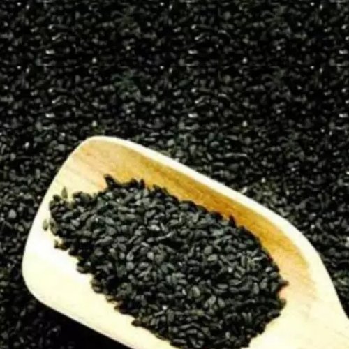 تخم خرفه درشت تازه و درجه یک(100گرم)