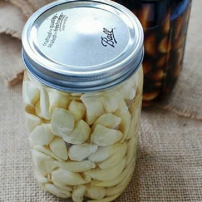 ترشی سیر صدفی شرکتی