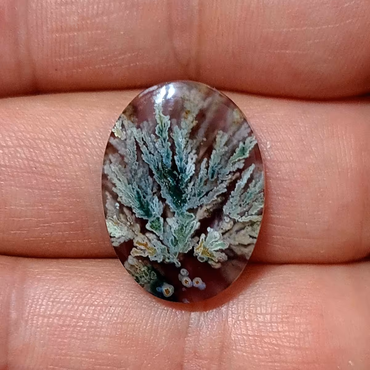 عقیق سوسنی با گل های رنگارنگ