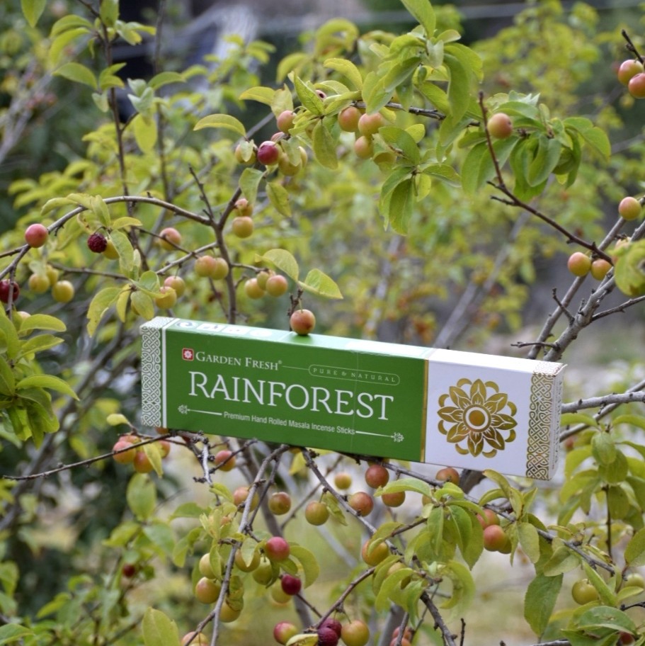 عود جنگل بارانی 50 گرمی گاردن فرش