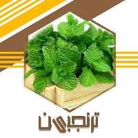 پونه سبز سابیده معطر(100گرمی) ترنجبین