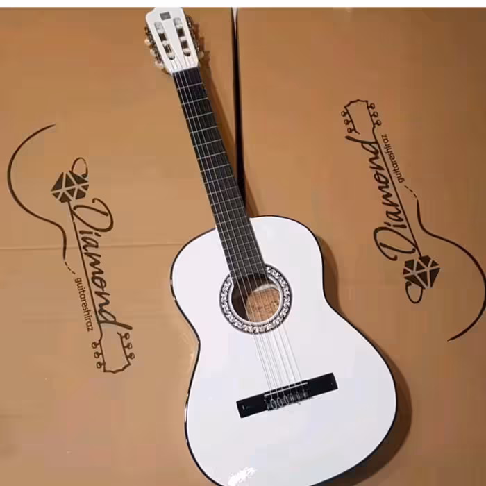 گیتار دیاموند به همراه ( سافت کیس و دفتر نت و پیک)ارسال سریع و تخفیف ویژه 