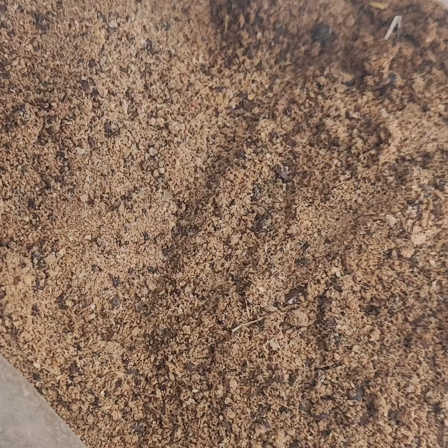 پودر سماق قهوه ای سردشت آسیاب خودمون تازه 200گرم 