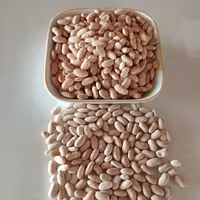 لوبیا کشاورزی یا لوبیا رشتی این نوع لوبیا در پخت غذاهای محلی معروفی مثل باقلا قاتق استفاده میشود