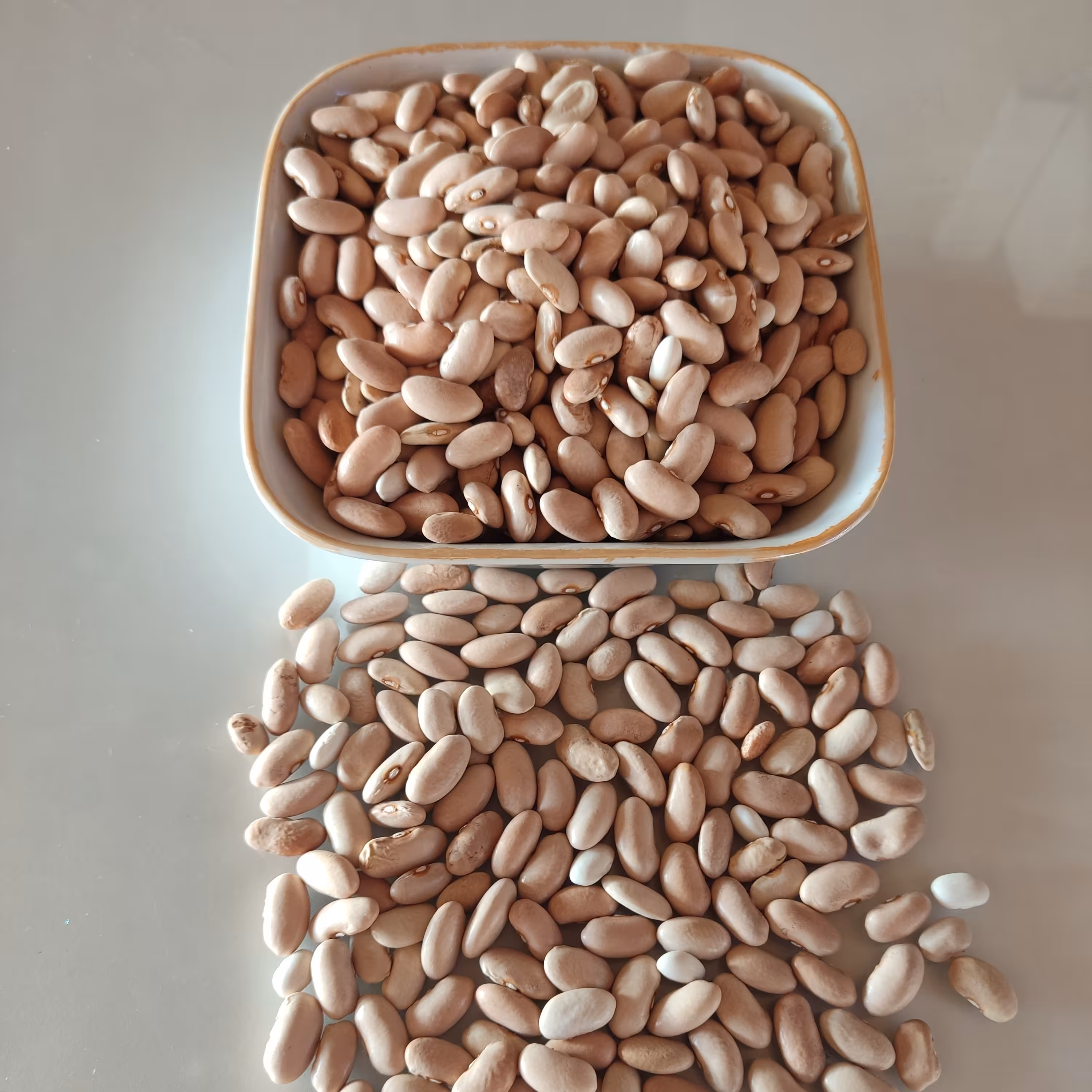 لوبیا کشاورزی یا لوبیا رشتی این نوع لوبیا در پخت غذاهای محلی معروفی مثل باقلا قاتق استفاده میشود