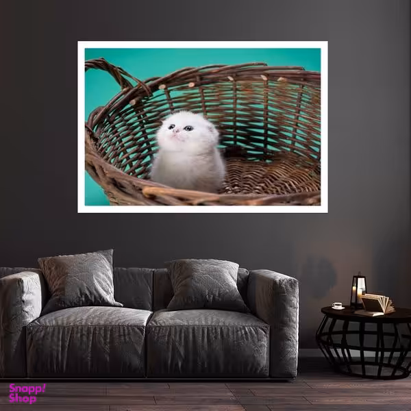 تابلو بکلیت طرح بچه گربه مدل قاب شاسی W-s8495