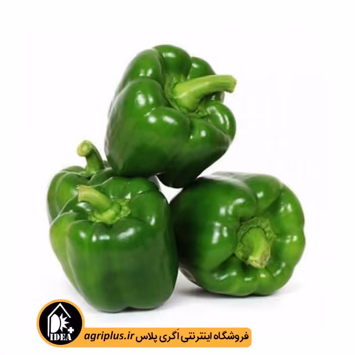 بذر فلفل دلمه ای بسته بندی خانگی
