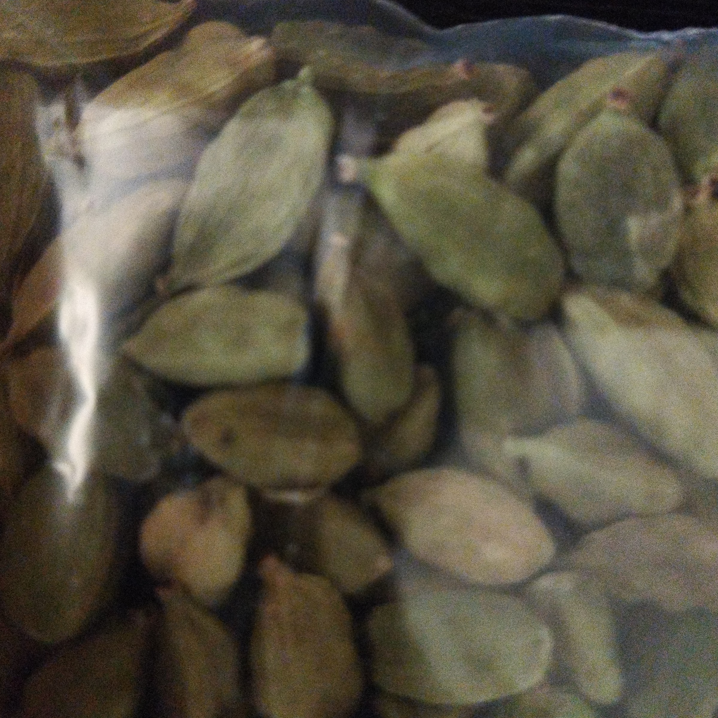 هل خوش عطر (25گرم)