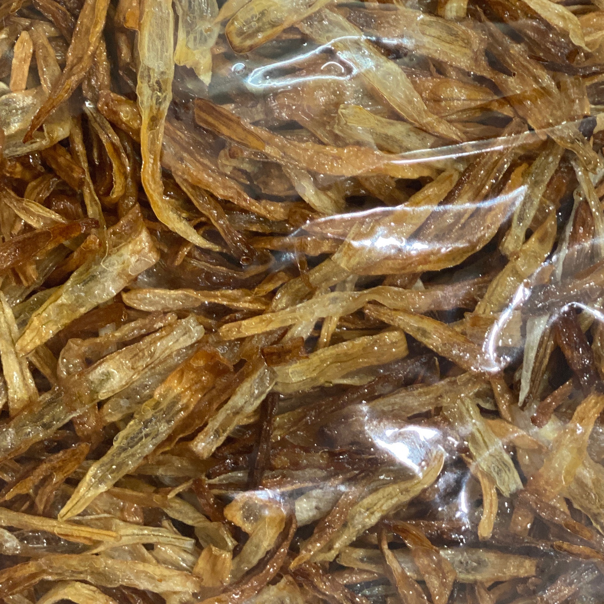 پیاز داغ نگینی