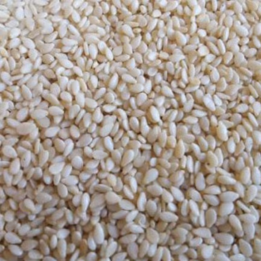 کنجد سفید اعلا 500 گرمی درجه یک سرشار از ویتامین سرشار از آهن