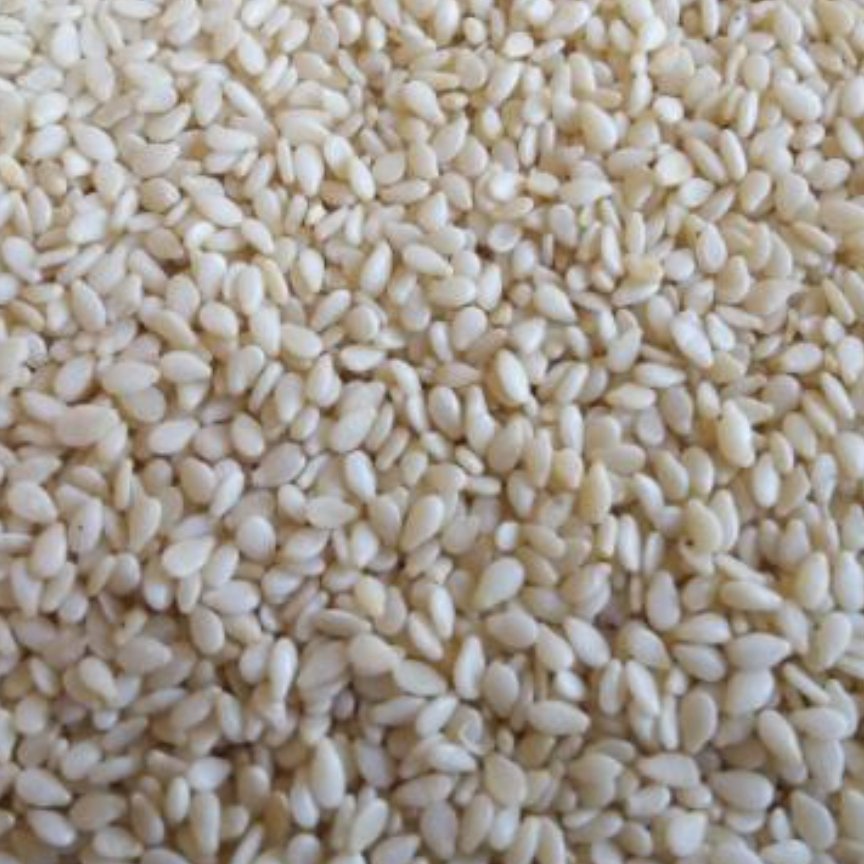 کنجد سفید اعلا 500 گرمی درجه یک سرشار از ویتامین سرشار از آهن