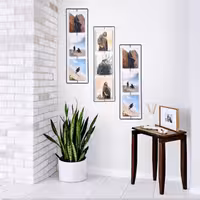 قاب مفتولی با چاپ