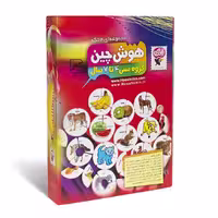 بازی فکری هوش چین 4 تکه زاغک اسباب بازی آموزشی