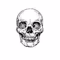 استیکر لپ تاپ طرح اسکلت کد 362