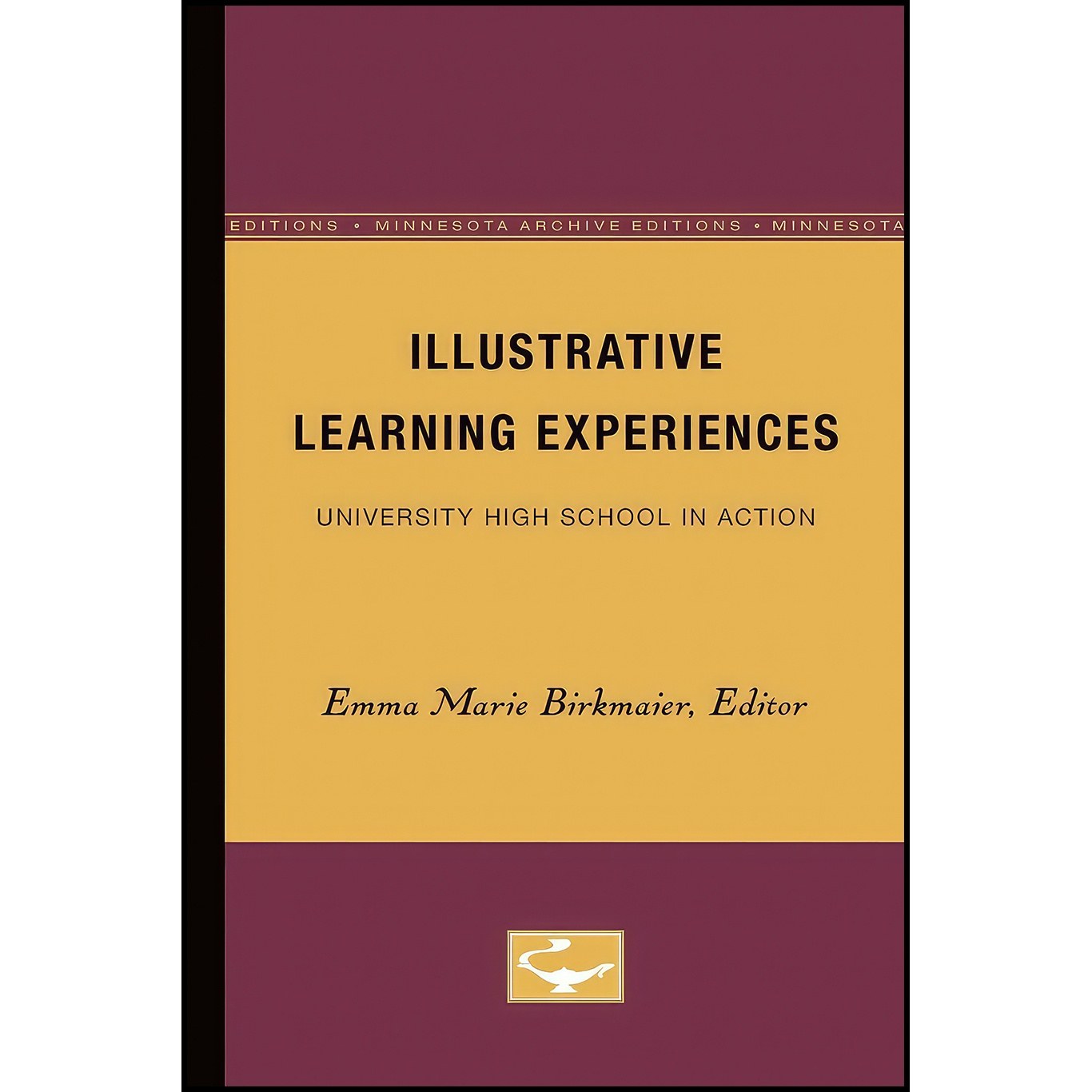 کتاب زبان اصلی Illustrative Learning Experiences اثر Emma Birkmaier