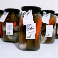 خیارشور تخمیری