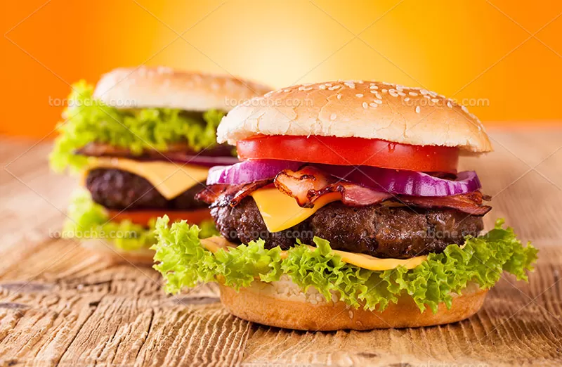 عکس همبرگر و کاهو | گرافیک با طعم تربچه