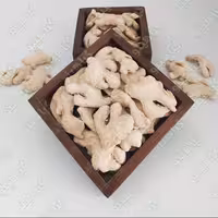 زنجبیل خشک قلم 500 گرمی گیاهینو