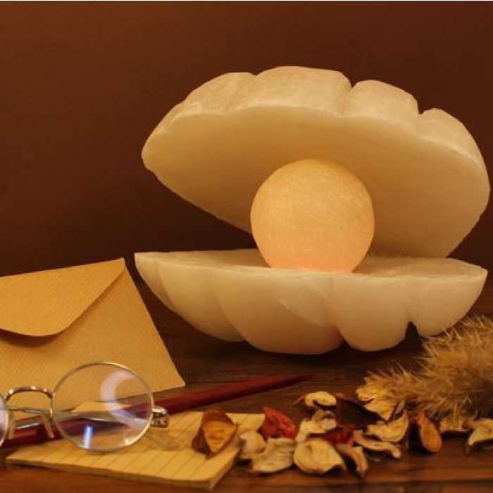 آباژور نمکی مدل صدف  یه مدل شیک و خاص پسند برای همه چراغ خواب نمکی 