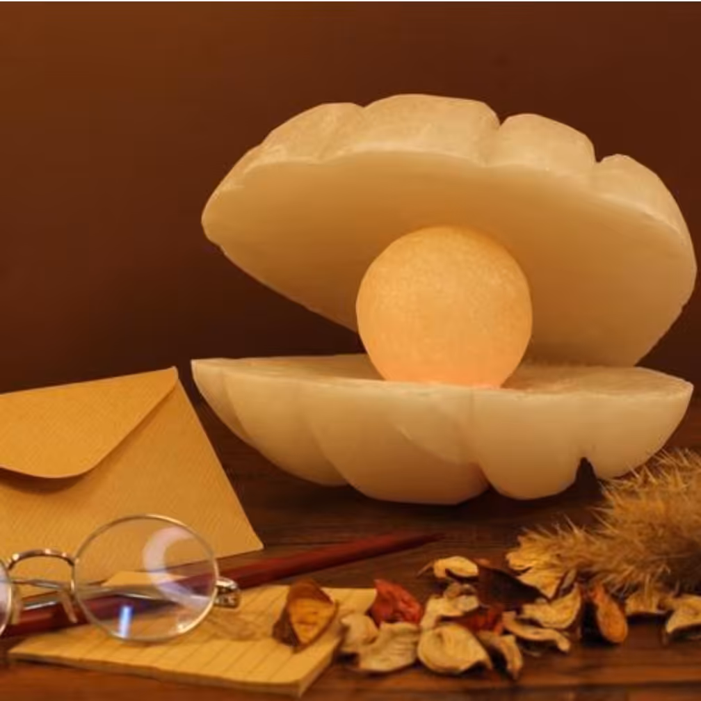 آباژور نمکی مدل صدف  یه مدل شیک و خاص پسند برای همه چراغ خواب نمکی 
