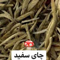 چای سفید سوزنی اعلا 1 کیلوگرمی آقای زعفران
