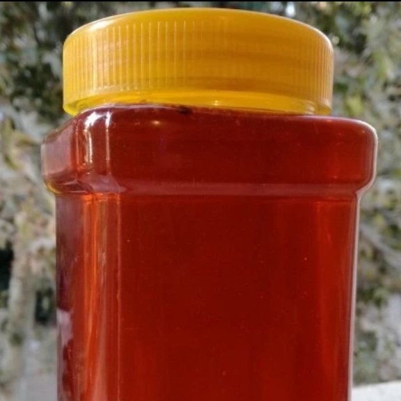 شهدعسل کاکوتی 2کیلویی(عسل بهاره سبلان سرعین)