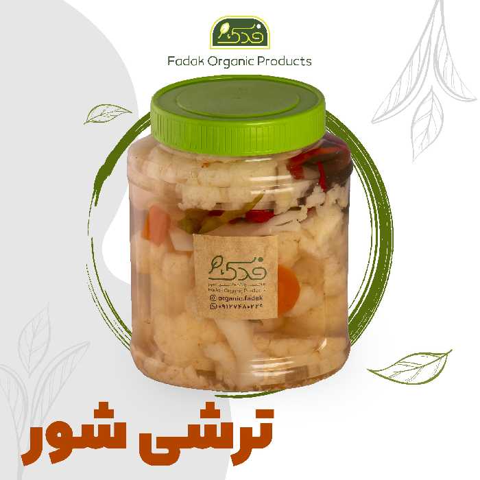 شور خانگی 5ستاره فدک یه کیلویی