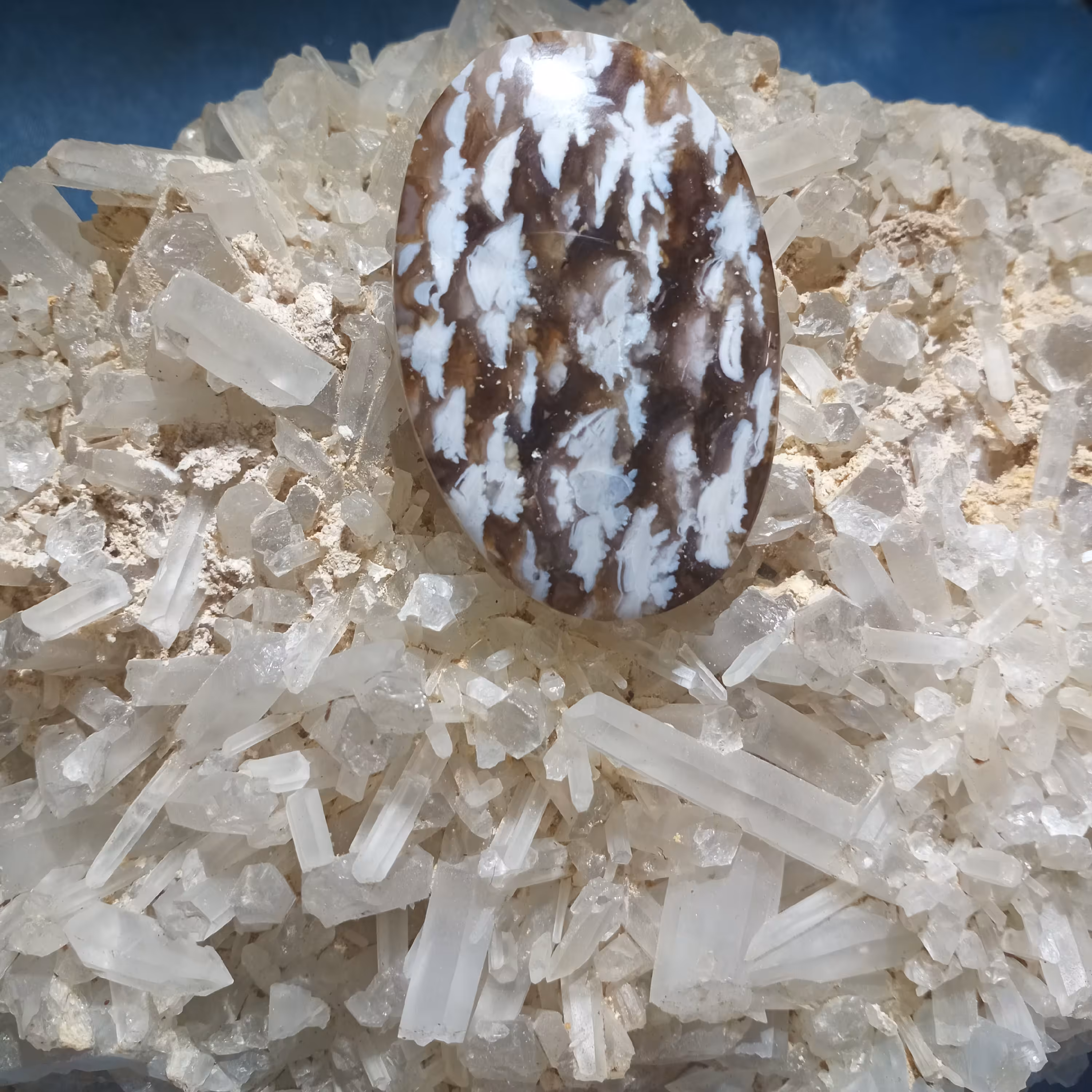 نگین انگشتر . سنگ های قیمتی و نیمه قیمتی و سنگ شجر