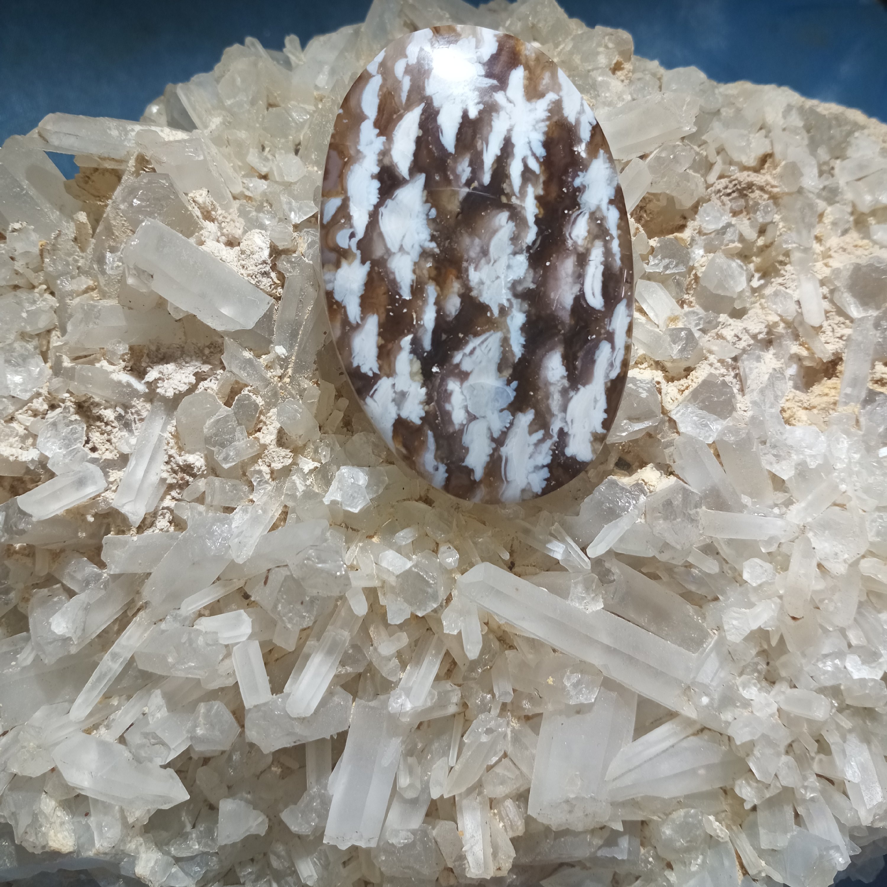 نگین انگشتر . سنگ های قیمتی و نیمه قیمتی و سنگ شجر