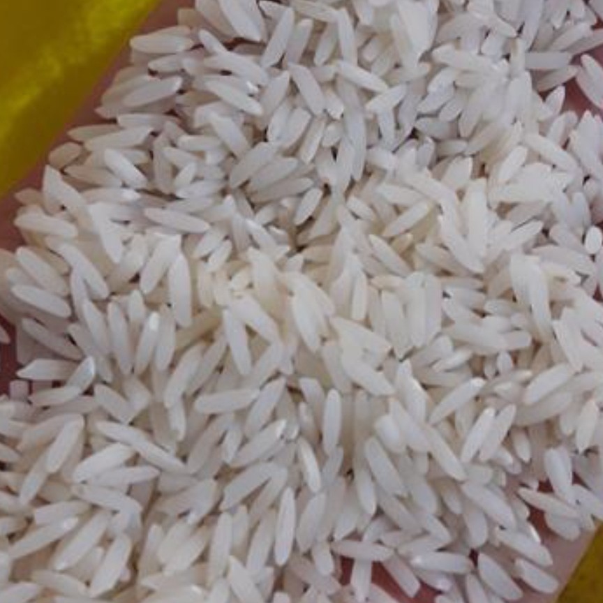 برنج طارم هاشمی محلی فریدونکنار هاشمی ممتاز برجسته 10 کیلویی درجه یک به شرط پخت 