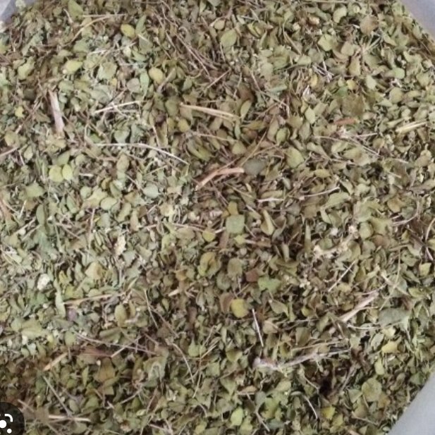 گیاه  آویشن شیرازی  200 گرم پاک کننده ریه . نفخ معده