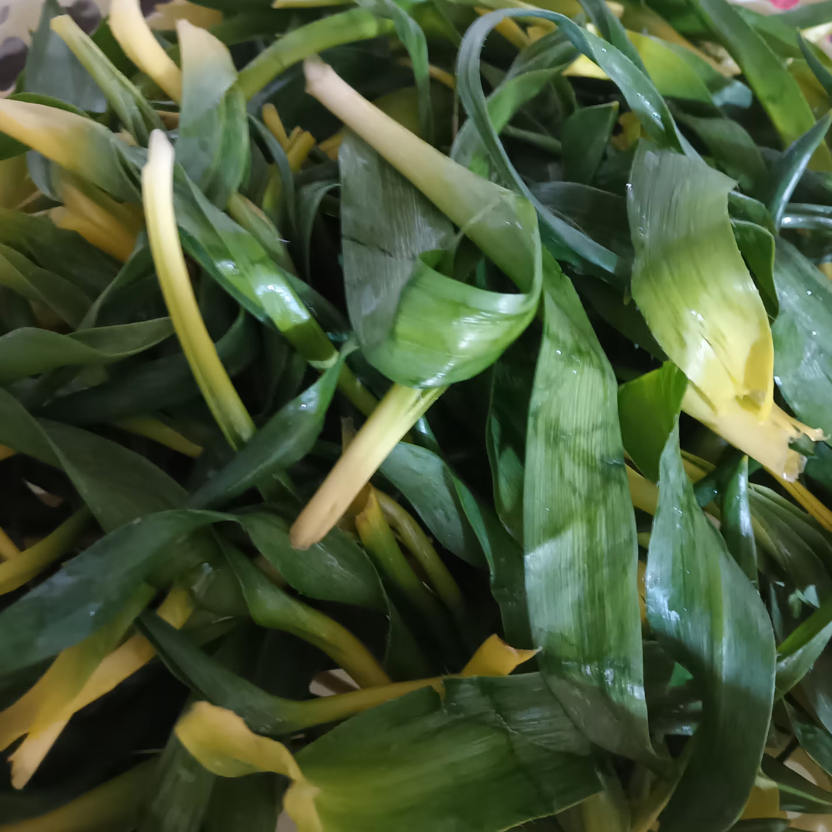 علف خوراکی ململیاس وزن 1000 گرم .قیمت 60 تومان 