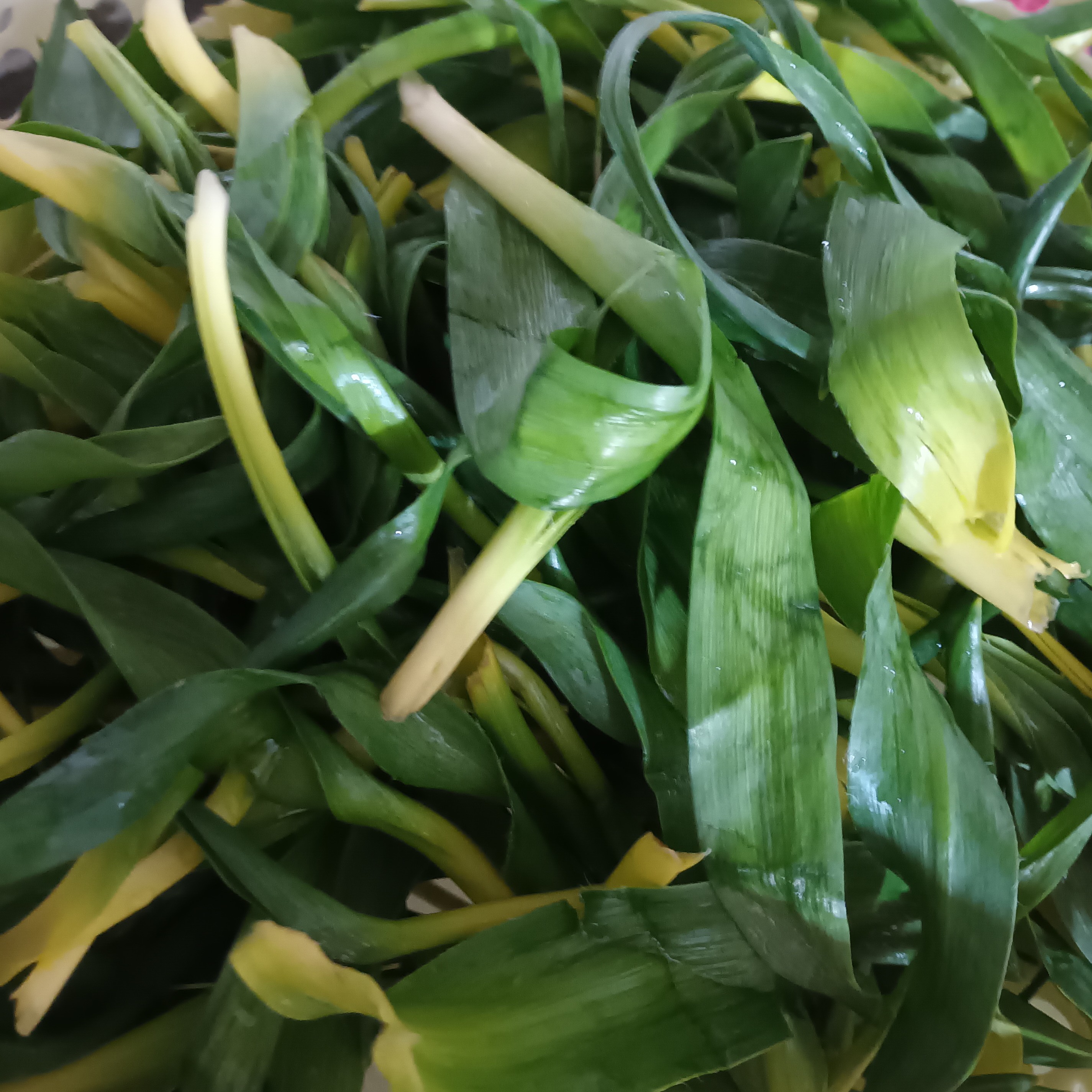 علف خوراکی ململیاس وزن 1000 گرم .قیمت 60 تومان 