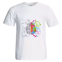 تیشرت مغز رنگی مدل R 20